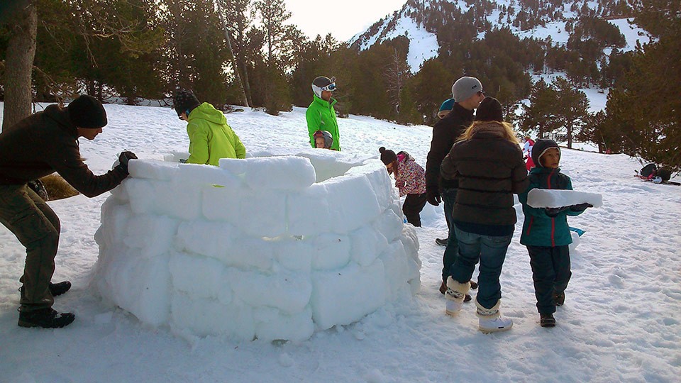 Igloo construction