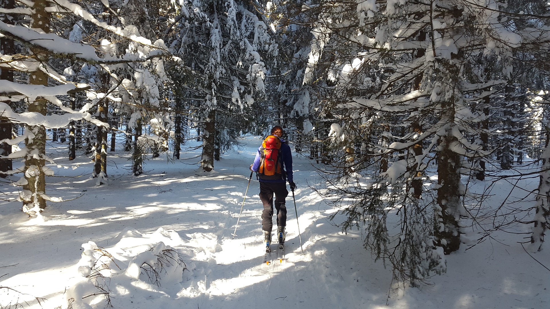 Ski de randonnée